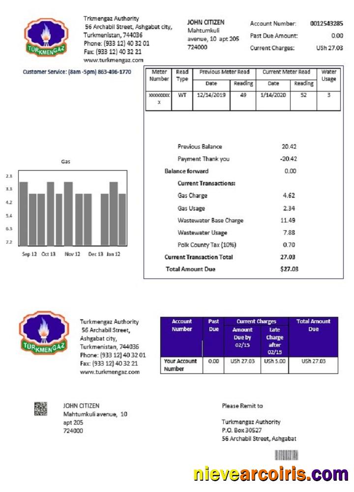 Turkmenistan Turkmengaz utility bill